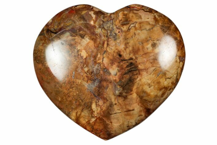 Polished Triassic Petrified Wood Heart - Madagascar #355592